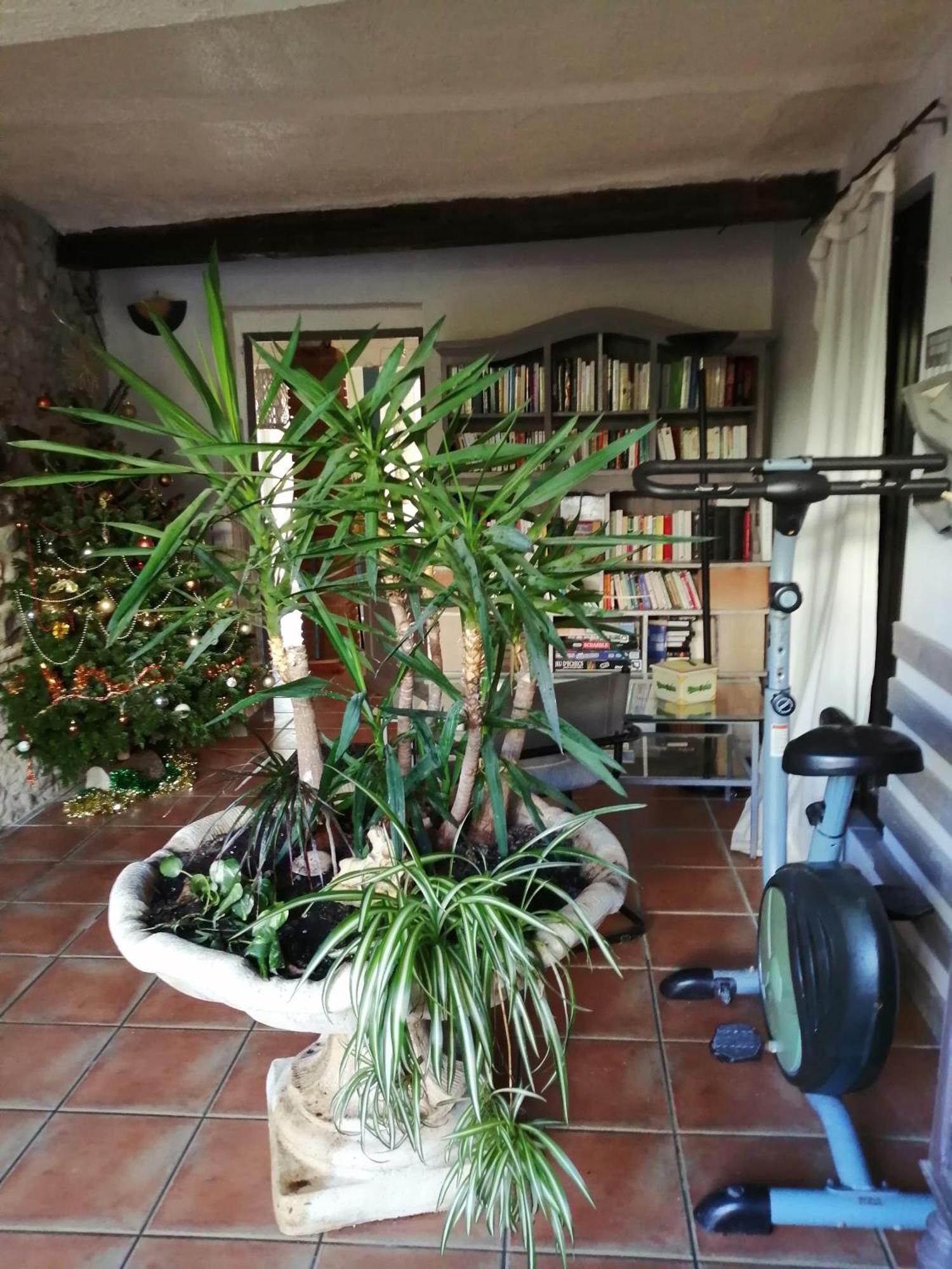 Belle Maison De Caractere Dans Village Et Sa Piscine Privee 7 Pers- 3 Chambres - 12 Rue Emile Zola Millas 外观 照片
